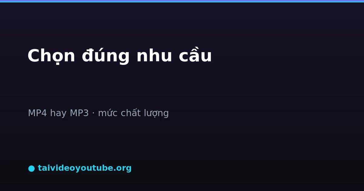 Các định dạng MP4 MP3 và mức chất lượng để chọn