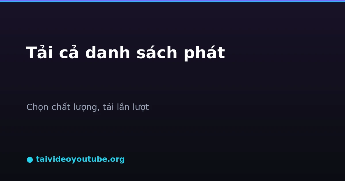 Danh sách video trong playlist YouTube hiện ra để tải lần lượt